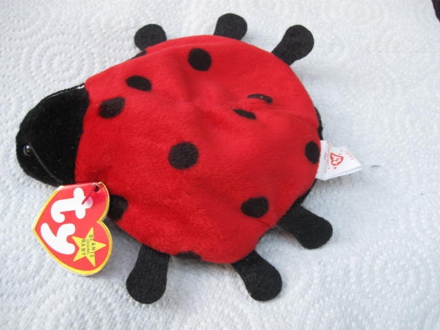 Ty Lucky The Ladybug