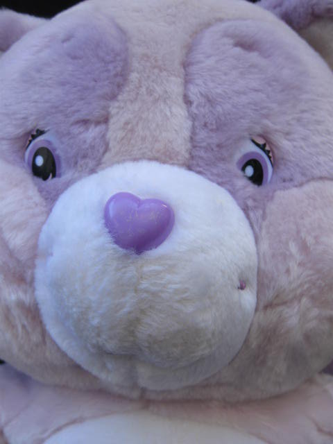 Large Care Bear Cousin Bright Heart Raccoon 21