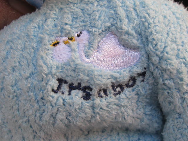 Ty Baby Boy The Blue Teddy Bear Retired Beanie Baby