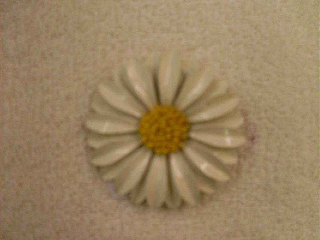 brooch