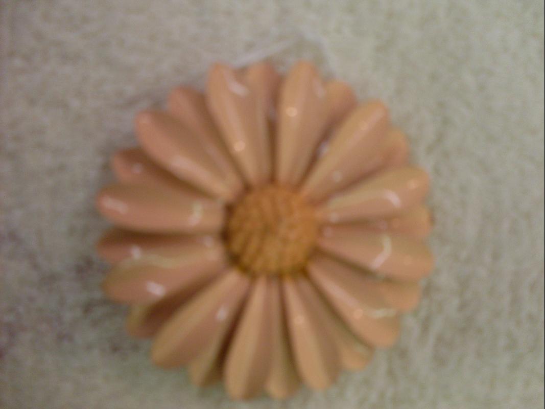 brooch