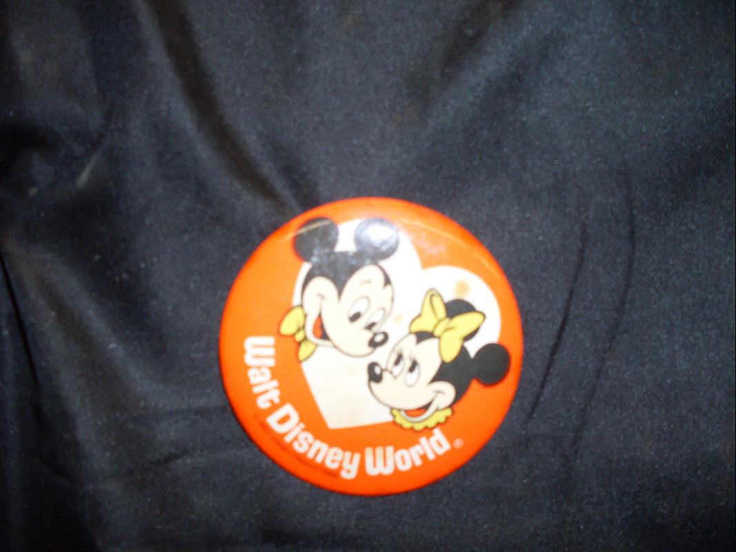 walt disney pin