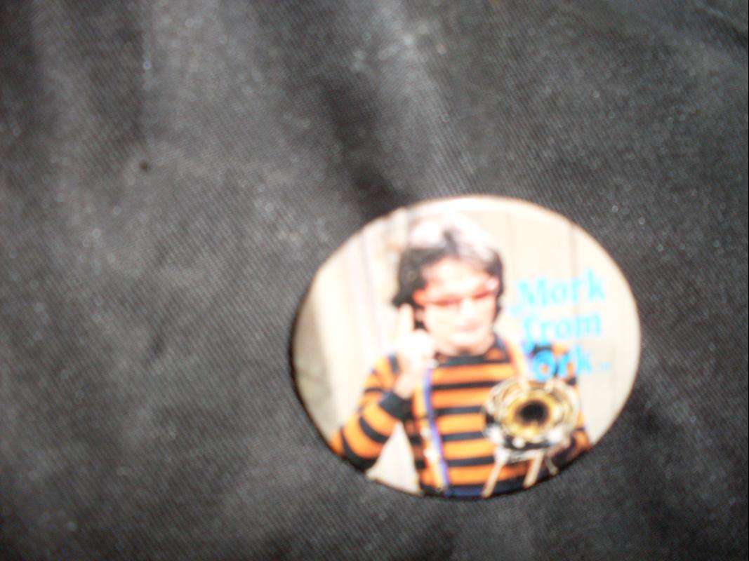 mork and mindy pin