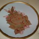 BAVARIA HAND PAINTED PLATE