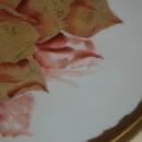 BAVARIA HAND PAINTED PLATE