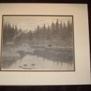 SIGNED INGRID PETERSON LITHOGRAGH