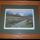 PHOTOGRAPH SIGNED BY ARTIST BY ED NEWBOLD FRAMED