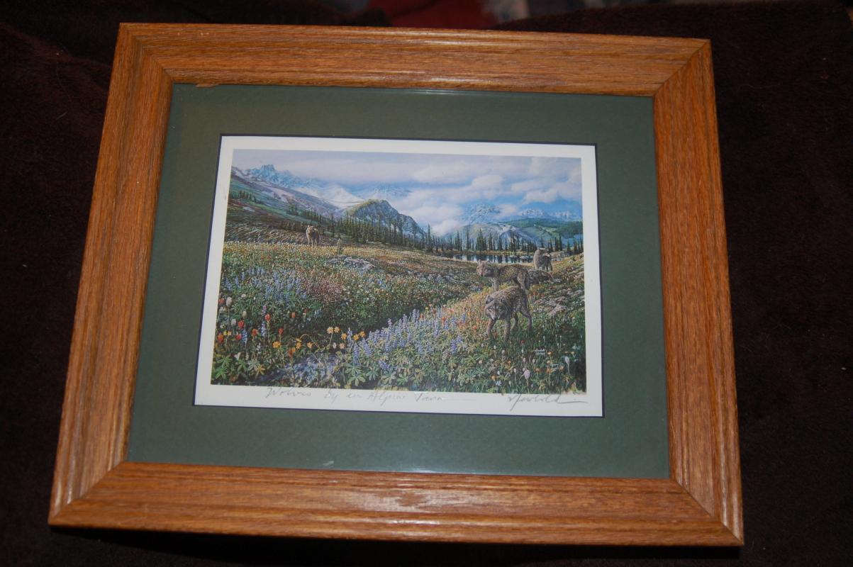 PHOTOGRAPH SIGNED BY ARTIST BY ED NEWBOLD FRAMED