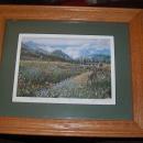 PHOTOGRAPH SIGNED BY ARTIST BY ED NEWBOLD FRAMED