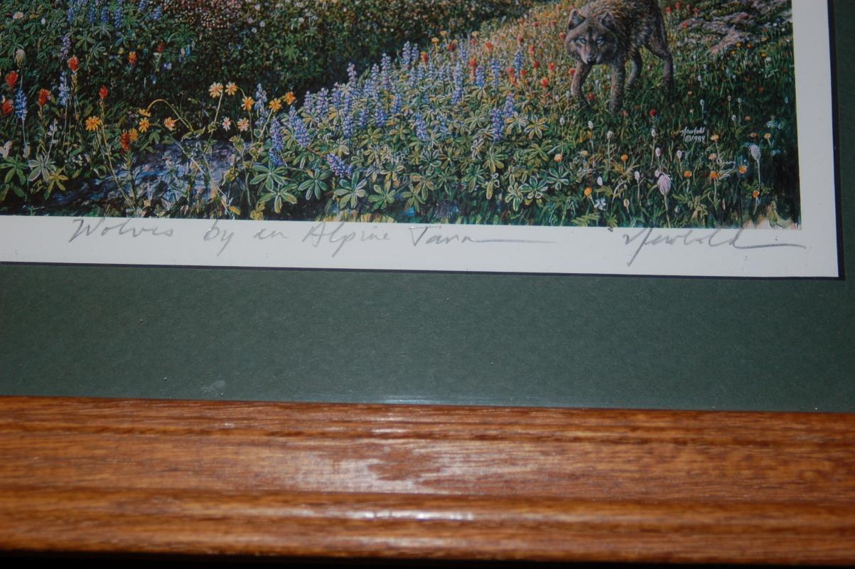 PHOTOGRAPH SIGNED BY ARTIST BY ED NEWBOLD FRAMED