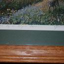 PHOTOGRAPH SIGNED BY ARTIST BY ED NEWBOLD FRAMED