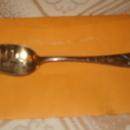 Sterling souvenier Chicago Fl Dearborn 1880