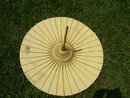 Vintage Chinese Hand painted Art Cloth Umbrella