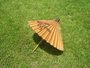 Vintage Chinese Art Decorated Parosol