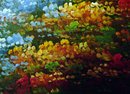 Large Floral Garden ( with a lot of light ) 25