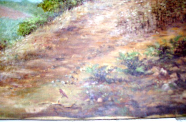 Vintage Early 1900's California Desert 16