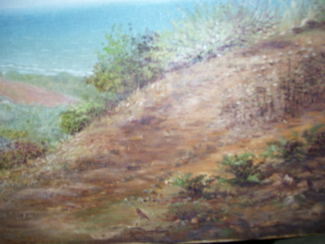 Vintage Early 1900's California Desert 16