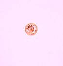 Exclusive Limited Edition,RNC, 2000 Presidential Election Lapel Pin