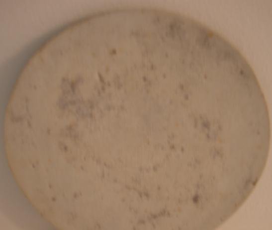 CHINESE EXPORT BLUE AND WHITE BLUE CANTON