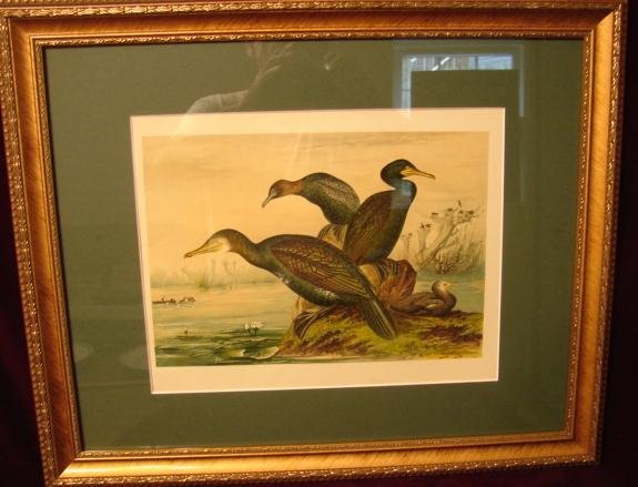 PAIR OF SIGNED BIRD PRINTS,FRAMED AND MATTED