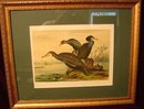PAIR OF SIGNED BIRD PRINTS,FRAMED AND MATTED