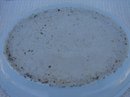 CIRCA 1820-1840 CHINESE EXPORT IMPERIAL ROSE MEDALLION OVAL DISH