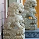 Pair Large Marble Chinese Fu Dog Lions