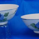 Painted Porcelain Chinese Bowl