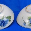 Painted Porcelain Chinese Bowl