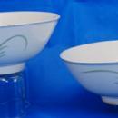 Painted Porcelain Chinese Bowl