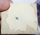 Miniature on Ivory Primitive Portrait of early Coloial American woman