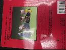 The Charlton Standard Catalogue of Wade Whimsical Collectables