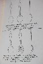 The Spoon Primer 1941 Fist Edition Signed Evrett Crosby