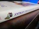 Antique Phonographs: Gadgets, Gizmos & Gimmicks