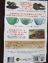 Antique Trader Guide to Fakes & Reproductions, 2nd Edition