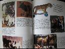 Teddy Bears & Steiff Animals, Second Edition