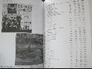 Goldmine British Invasion Record Price Guide