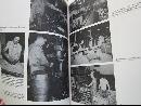 Granite Ware: Collectors' Guide With Prices Book II
