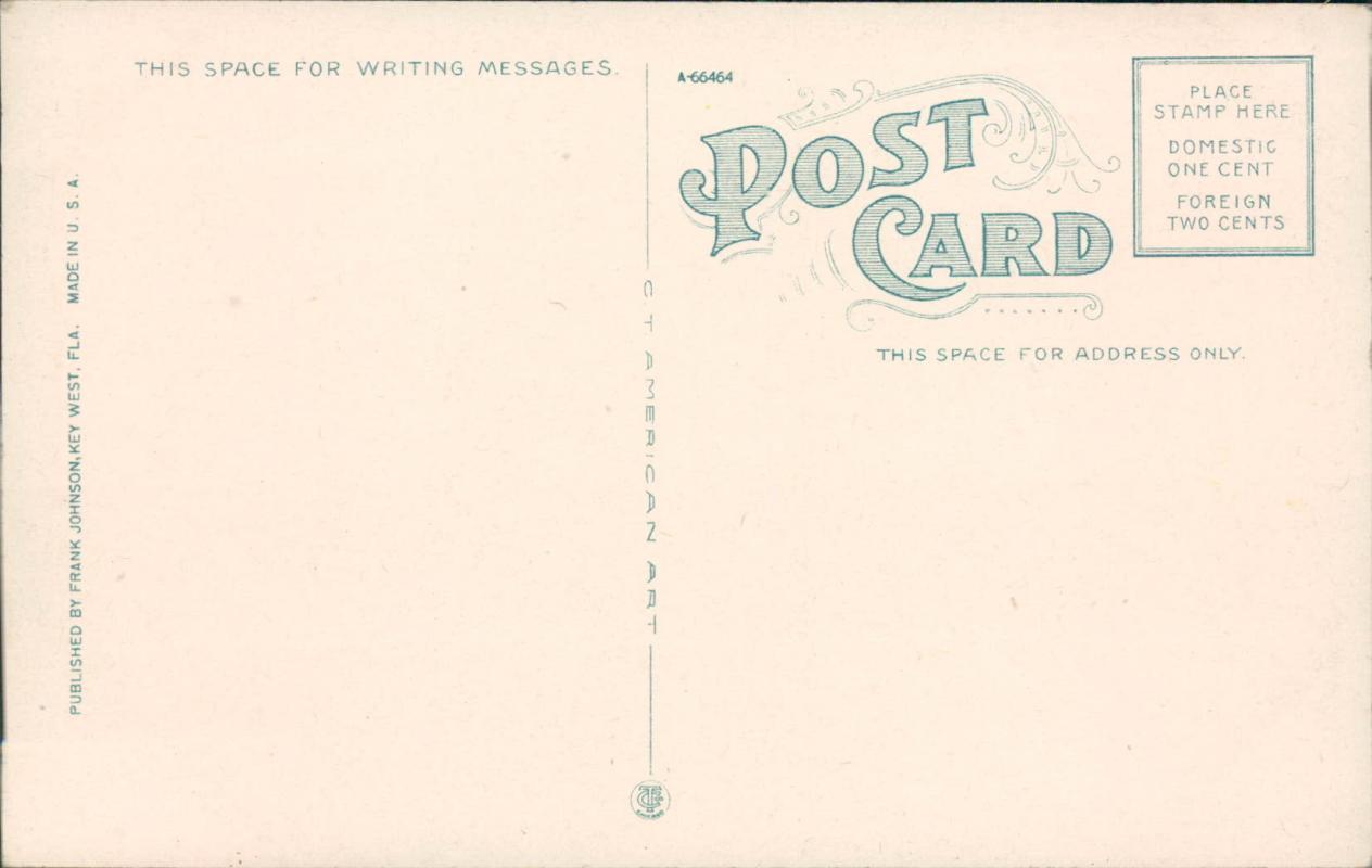 Vintage postcard, Key West Florida, Naval station and custom house, C.T. American Art, Frank Johnson
