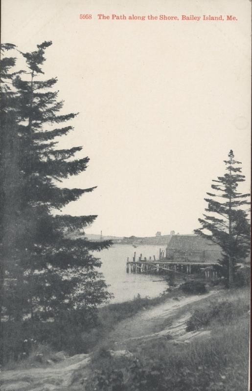 Brooklyn Postcard Company The Path Along the Shore Baily Island Maine Postcard 1917 #5958