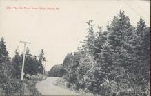 Brooklyn Postcard Company The Old Wood Road Baily Island Maine Postcard 1917 #5954