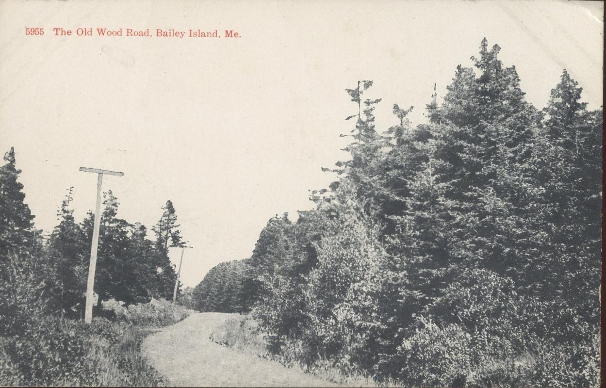 Brooklyn Postcard Company The Old Wood Road Baily Island Maine Postcard 1917 #5954