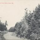 Brooklyn Postcard Company The Old Wood Road Baily Island Maine Postcard 1917 #5954