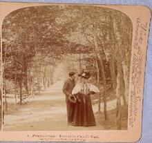 GREAT STEREOVIEW OF A VICTORIAN COUPLE IN THE PARK