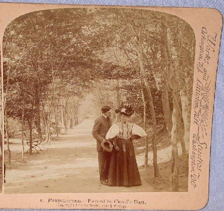 GREAT STEREOVIEW OF A VICTORIAN COUPLE IN THE PARK