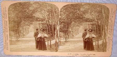 GREAT STEREOVIEW OF A VICTORIAN COUPLE IN THE PARK