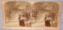 GREAT STEREOVIEW OF A VICTORIAN COUPLE IN THE PARK