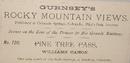 GURNSEY STEREOVIEW -