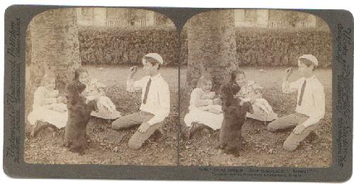 STEREOVIEW - CHILDREN AND A DOG