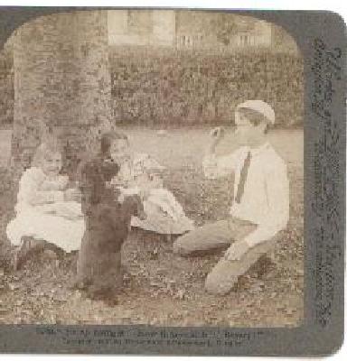 STEREOVIEW - CHILDREN AND A DOG